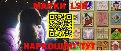 mdpv Новодвинск