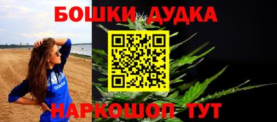 mdpv Новодвинск