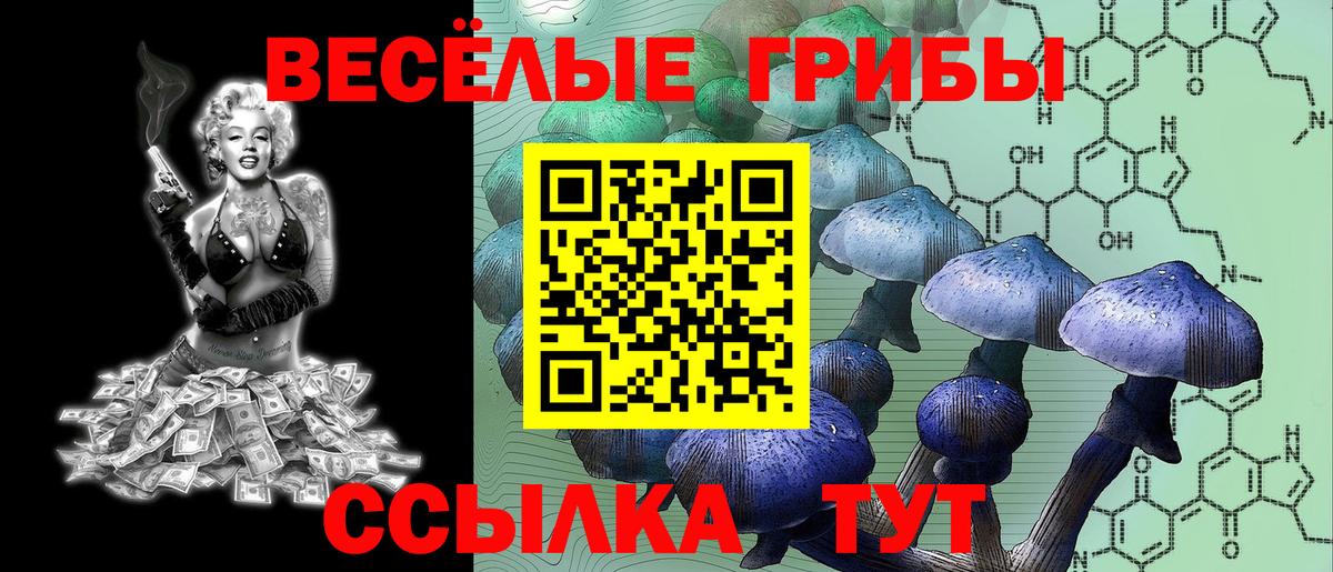 Семёнов  где продают наркотики  Вход с VPN  Псилоцибиновые грибы мухоморы 
