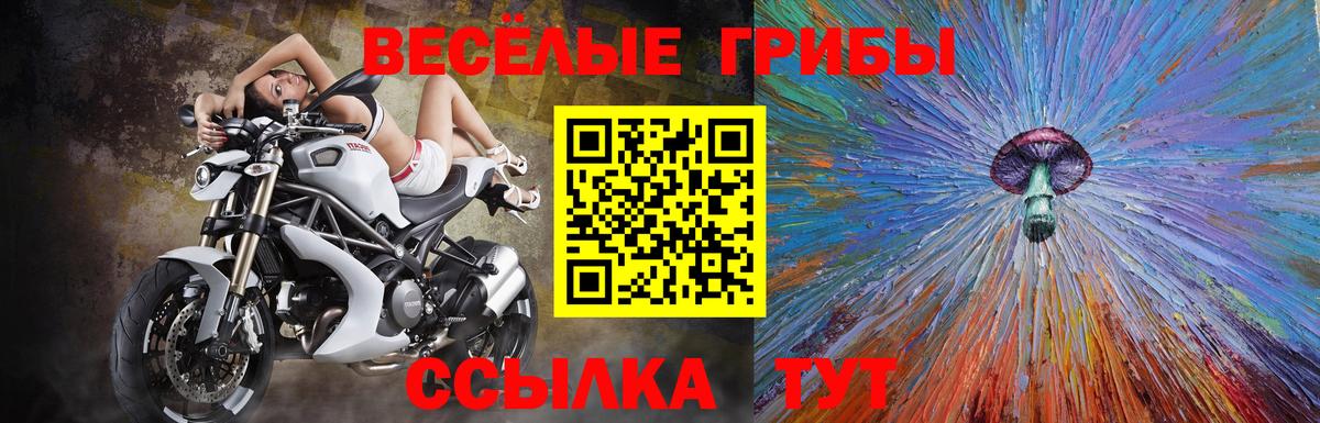 Галлюциногенные грибы Psilocybe Семёнов